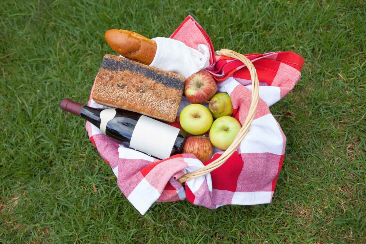 Koc piknikowy - ten gadżet zmieni Twoje letnie wypady